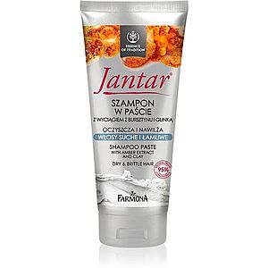 Farmona Jantar Amber Extract & Clay čisticí šampon pro suché a křehké vlasy 200 ml obraz