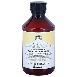 Davines Naturaltech Purifying Shampoo čisticí šampon proti lupům 250 ml obraz