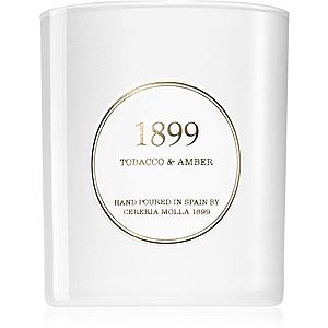 Cereria Mollá Gold Edition Tobacco & Amber vonná svíčka 230 g obraz