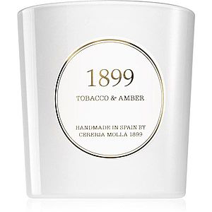 Cereria Mollá Gold Edition Tobacco & Amber vonná svíčka 600 g obraz