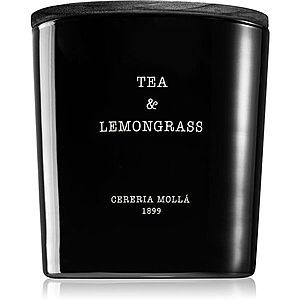 Cereria Mollá Boutique Tea & Lemongrass vonná svíčka 600 g obraz