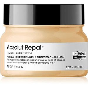 L’Oréal Professionnel Serie Expert Absolut Repair hloubkově regenerační maska pro suché a poškozené vlasy 250 ml obraz