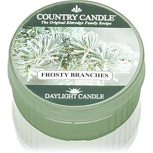 Country Candle Frosty Branches čajová svíčka 42 g obraz