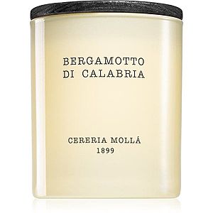 Cereria Mollá Boutique Bergamotto di Calabria vonná svíčka 230 g obraz