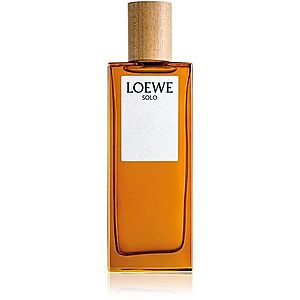 Loewe Solo Loewe toaletní voda pro muže 50 ml obraz