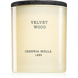 Cereria Mollá Boutique Velvet Wood vonná svíčka 230 g obraz