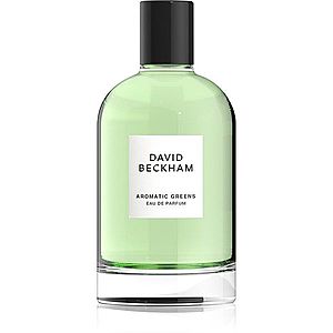 David Beckham Aromatic Greens parfémovaná voda pro muže 100 ml obraz