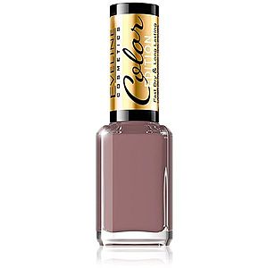 Eveline Cosmetics Color Edition vysoce krycí lak na nehty odstín 123 12 ml obraz