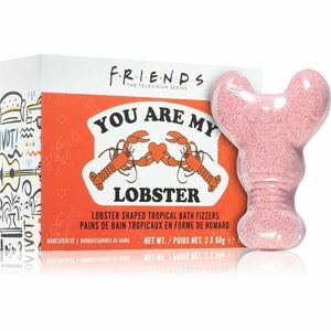 Friends You Are My Lobster koupelová bomba 2x50 g obraz