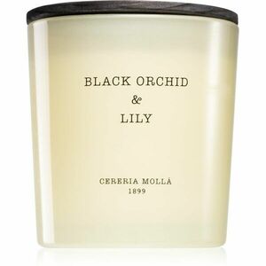 Cereria Mollá Boutique Black Orchid & Lily vonná svíčka 600 ml obraz