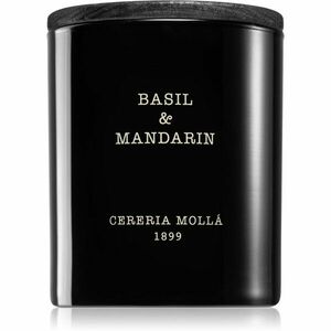 Cereria Mollá Boutique Basil & Mandarin vonná svíčka 230 g obraz