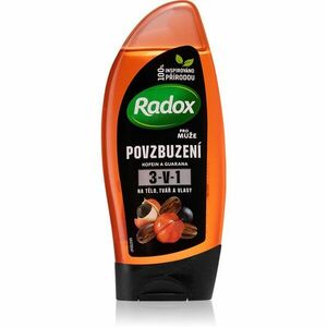 Radox Men Invigorating sprchový gel pro muže 3 v 1 250 ml obraz