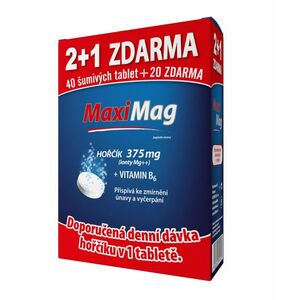 Zdrovit MaxiMag Hořčík 375 mg + B6 3x20 šumivých tablet 2+1 zdarma obraz