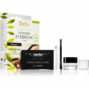 Delia Cosmetics Eyebrow Expert tónovací barva na obočí odstín 1.0 Black 4 g obraz