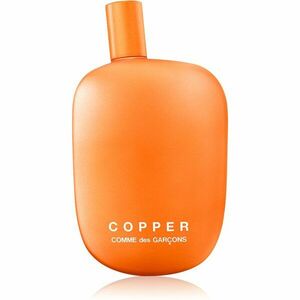 Comme des Garçons Copper parfémovaná voda unisex 100 ml obraz