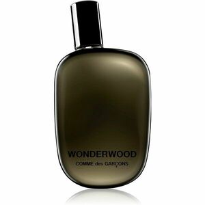 Comme des Garçons Wonderwood parfémovaná voda pro muže 50 ml obraz