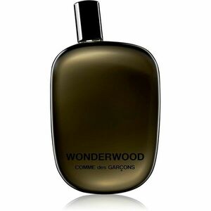 Comme des Garçons Wonderwood parfémovaná voda pro muže 100 ml obraz