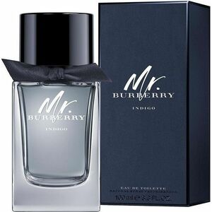 Burberry Mr. Burberry Indigo - EDT obraz