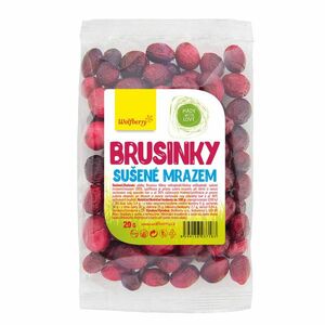 Wolfberry Brusinky lyofilizované 20 g obraz