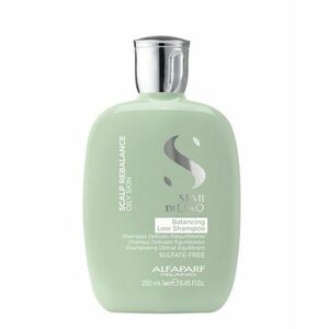 Alfaparf Milano Balancing Low Shampoo vyvažujicí šampon 250 ml obraz