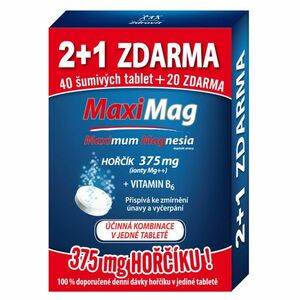 ZDROVIT MaxiMag 375mg + vitamín B6 60 šumivých tablet obraz