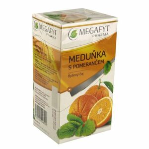 MEGAFYT Ovocný Meduňka s pomerančem 20x2 g obraz