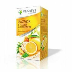 MEGAFYT Ovocný čaj s příchutí citrónu, zázvoru a medu 20 x 2 g obraz