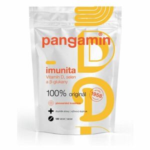 PANGAMIN Imunita 120 tablet obraz