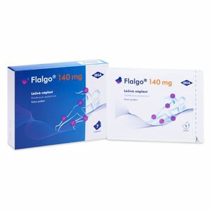 FLALGO Léčivá náplast 140 mg 10 x 14 cm 7 kusů obraz
