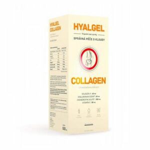 HYALGEL Collagen 500 ml obraz