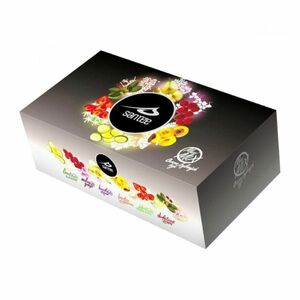 SANTÉE Mix Maxi ovocno-bylinný čaj 60 sáčků obraz