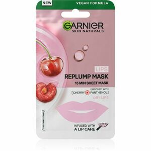Garnier Skin Naturals Lips Replump Mask vyplňující maska na rty 5 g obraz