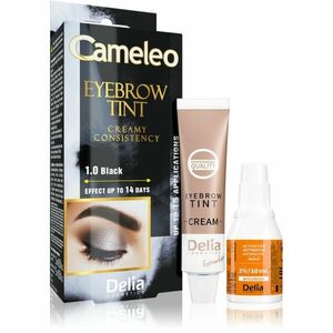 Delia Cosmetics Cameleo krémová profesionální barva na obočí bez amoniaku odstín 1.0 Black 15 ml obraz