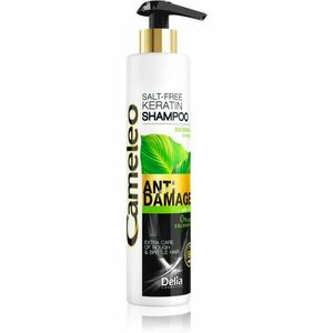 Delia Cosmetics Cameleo BB keratinový šampon pro poškozené vlasy 250 ml obraz