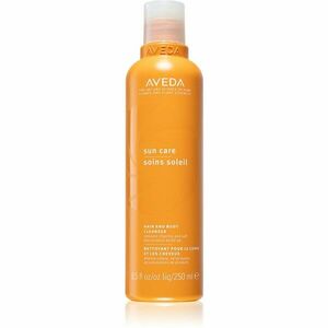 Aveda Sun Care Hair and Body Cleanser šampon a sprchový gel 2 v 1 pro vlasy namáhané chlórem, sluncem a slanou vodou 250 ml obraz