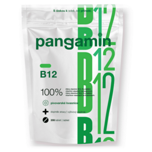 PANGAMIN B12 200 tablet obraz