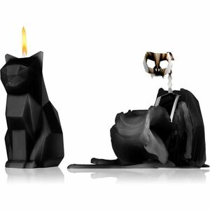 54 Celsius PyroPet KISA (Cat) dekorativní svíčka Black 17 cm obraz