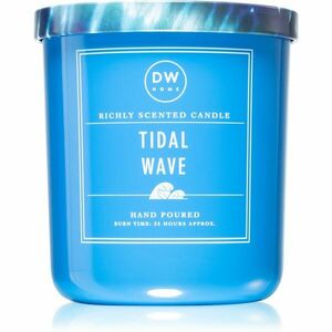 DW Home Signature Tidal Wave vonná svíčka 264 g obraz