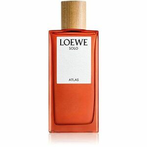 Loewe Solo Atlas parfémovaná voda pro muže 100 ml obraz