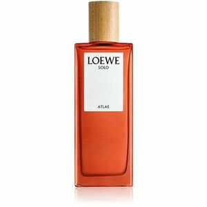 Loewe Solo Atlas parfémovaná voda pro muže 50 ml obraz