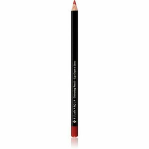 Illamasqua Colouring Lip Pencil konturovací tužka na rty odstín Creative 1, 4 g obraz