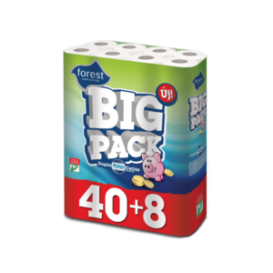 Regina Big Pack Duo toaletný papier 48ks obraz