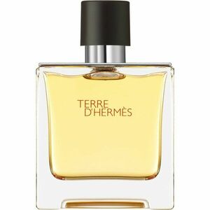 HERMÈS Terre d’Hermès parfém pro muže 75 ml obraz