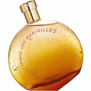 HERMÈS L'Ambre des Merveilles parfémovaná voda pro ženy 100 ml obraz