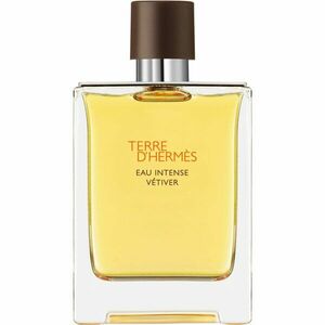 HERMÈS Terre d’Hermès Eau Intense Vétiver parfémovaná voda pro muže 100 ml obraz