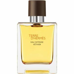 HERMÈS Terre d’Hermès Eau Intense Vétiver parfémovaná voda pro muže 50 ml obraz