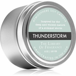 The Library of Fragrance Thunderstorm vonná svíčka 180 g obraz