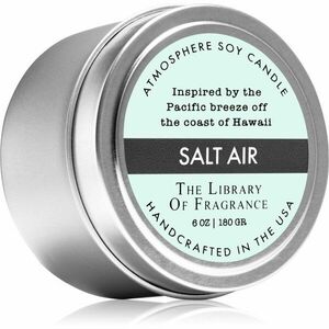 The Library of Fragrance Salt Air vonná svíčka 180 g obraz