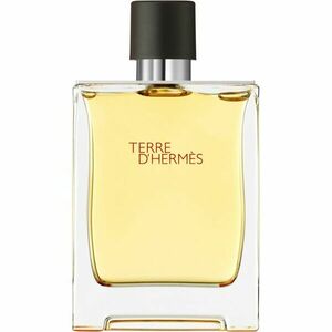 HERMÈS Terre d’Hermès parfém pro muže 200 ml obraz
