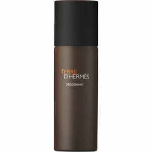 HERMÈS Terre d’Hermès deodorant ve spreji pro muže 150 ml obraz